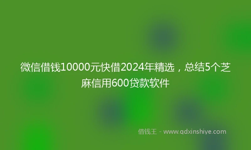 微信借钱10000元快借2024年精选，总结5个芝麻信用600贷款软件