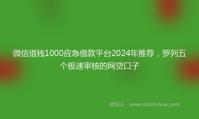 微信借钱1000应急借款平台2024年推荐，罗列五个极速审核的网贷口子