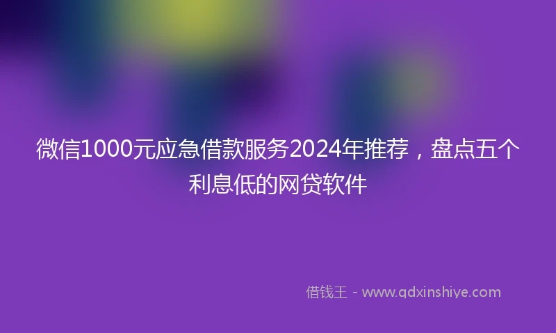 微信1000元应急借款服务2024年推荐，盘点五个利息低的网贷软件