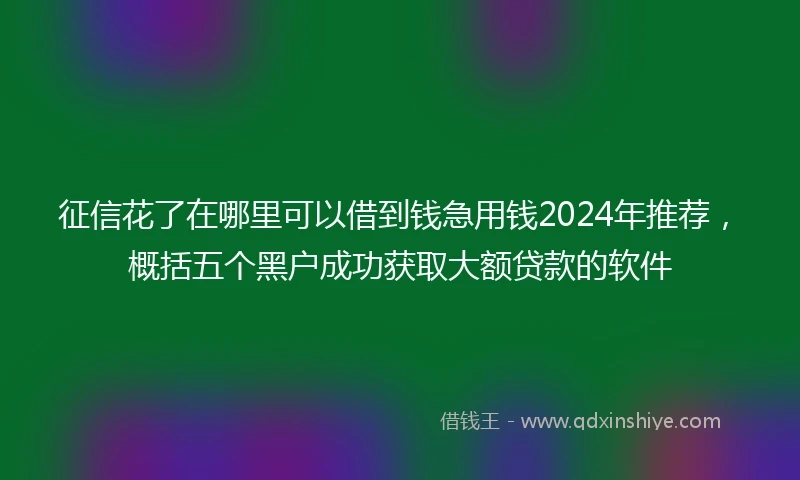 征信花了在哪里可以借到钱急用钱2024年推荐，概括五个黑户成功获取大额贷款的软件