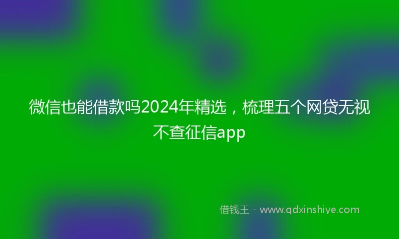 微信也能借款吗2024年精选，梳理五个网贷无视不查征信app