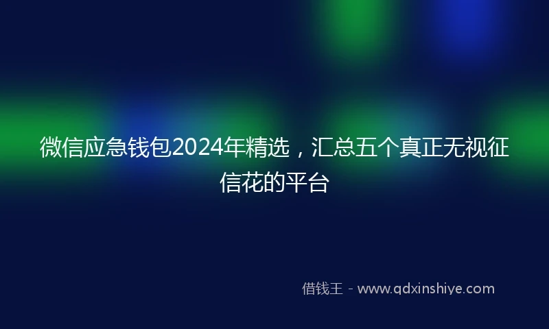 微信应急钱包2024年精选，汇总五个真正无视征信花的平台