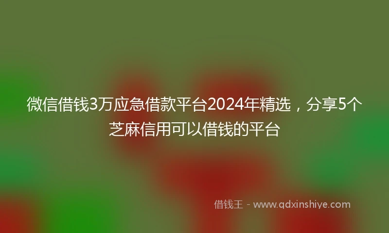 微信借钱3万应急借款平台2024年精选，分享5个芝麻信用可以借钱的平台