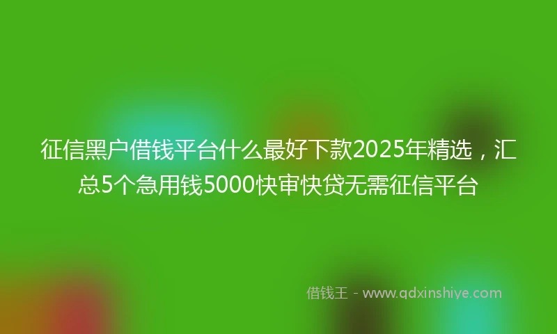 征信黑户借钱平台什么最好下款2025年精选，汇总5个急用钱5000快审快贷无需征信平台