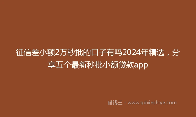 征信差小额2万秒批的口子有吗2024年精选，分享五个最新秒批小额贷款app