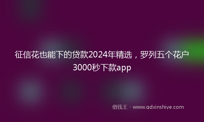 征信花也能下的贷款2024年精选，罗列五个花户3000秒下款app