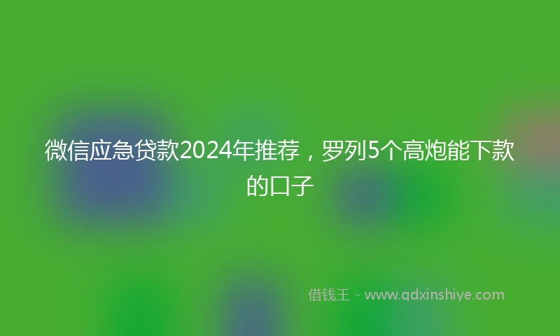 微信应急贷款2024年推荐，罗列5个高炮能下款的口子
