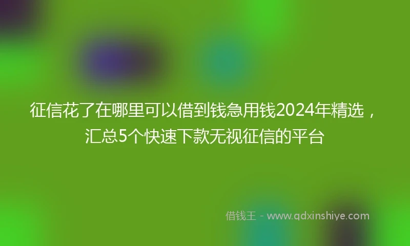 征信花了在哪里可以借到钱急用钱2024年精选，汇总5个快速下款无视征信的平台