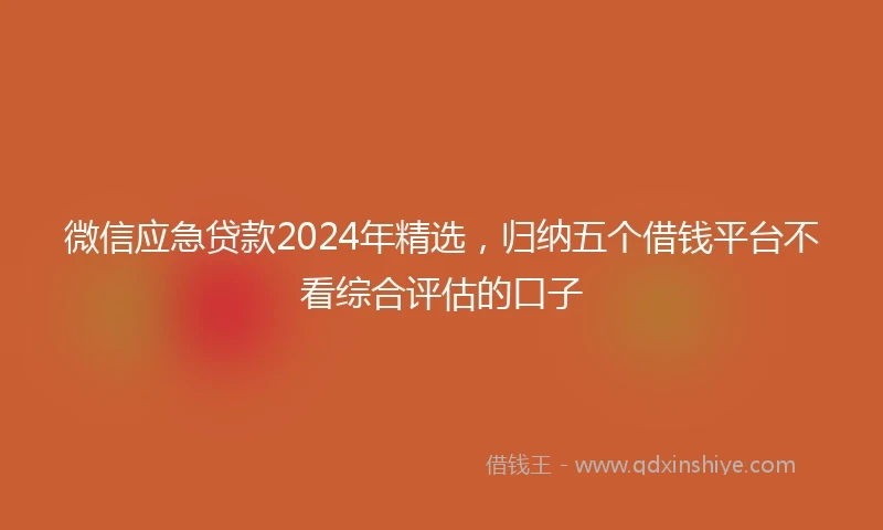 微信应急贷款2024年精选，归纳五个借钱平台不看综合评估的口子