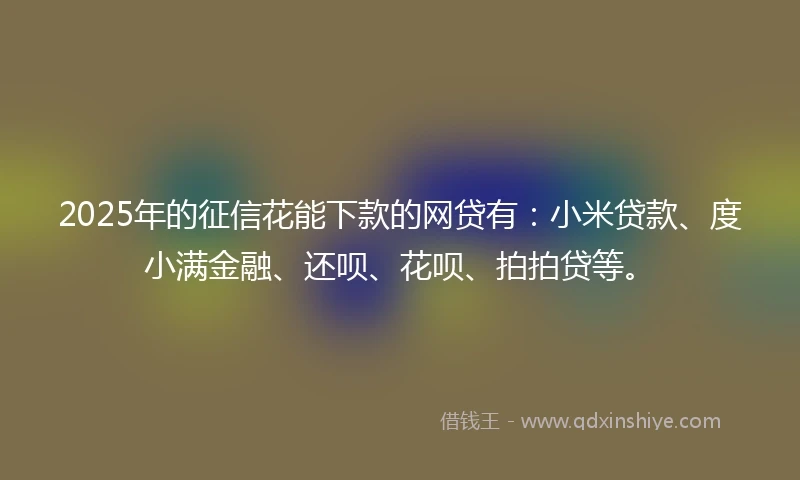 2025年的征信花能下款的网贷有：小米贷款、度小满金融、还呗、花呗、拍拍贷等。
