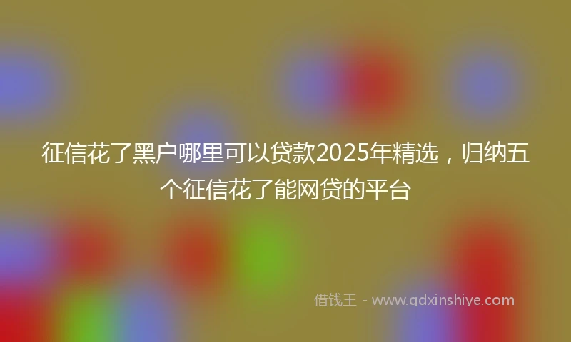 征信花了黑户哪里可以贷款2025年精选，归纳五个征信花了能网贷的平台