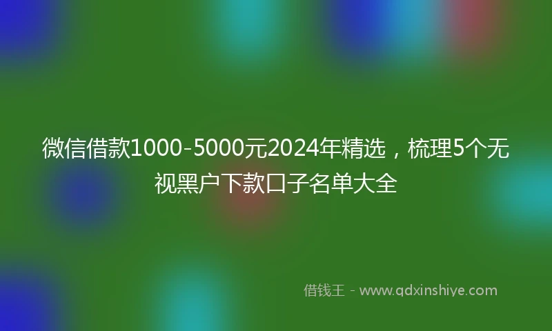 微信借款1000-5000元2024年精选，梳理5个无视黑户下款口子名单大全
