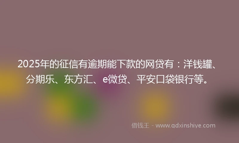 2025年的征信有逾期能下款的网贷有：洋钱罐、分期乐、东方汇、e微贷、平安口袋银行等。