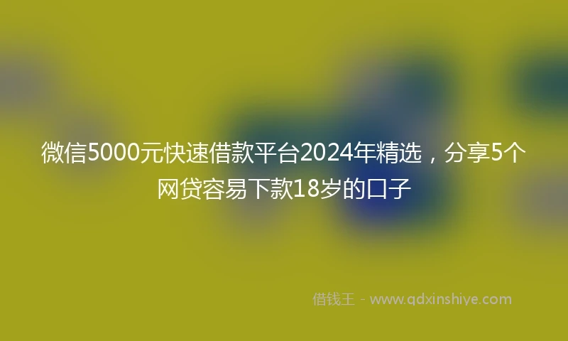 微信5000元快速借款平台2024年精选，分享5个网贷容易下款18岁的口子