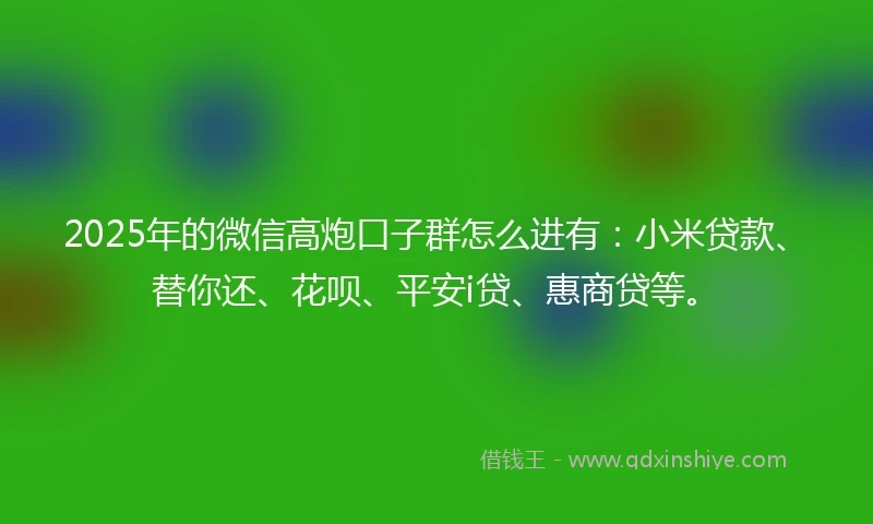 2025年的微信高炮口子群怎么进有：小米贷款、替你还、花呗、平安i贷、惠商贷等。