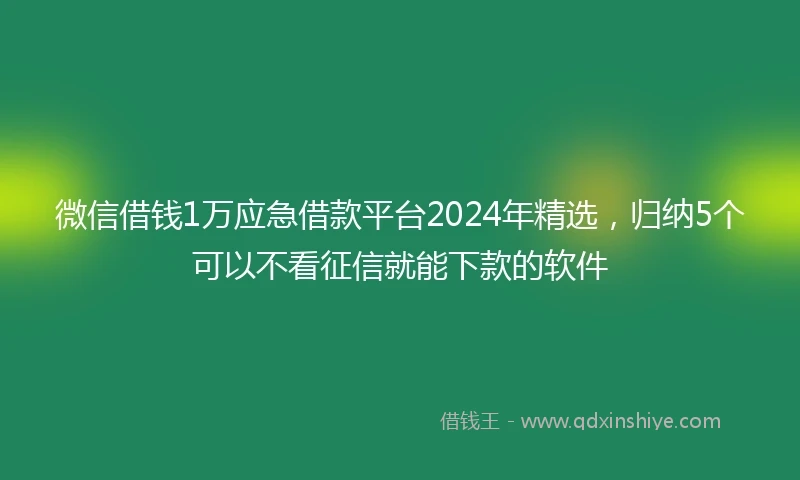 微信借钱1万应急借款平台2024年精选，归纳5个可以不看征信就能下款的软件