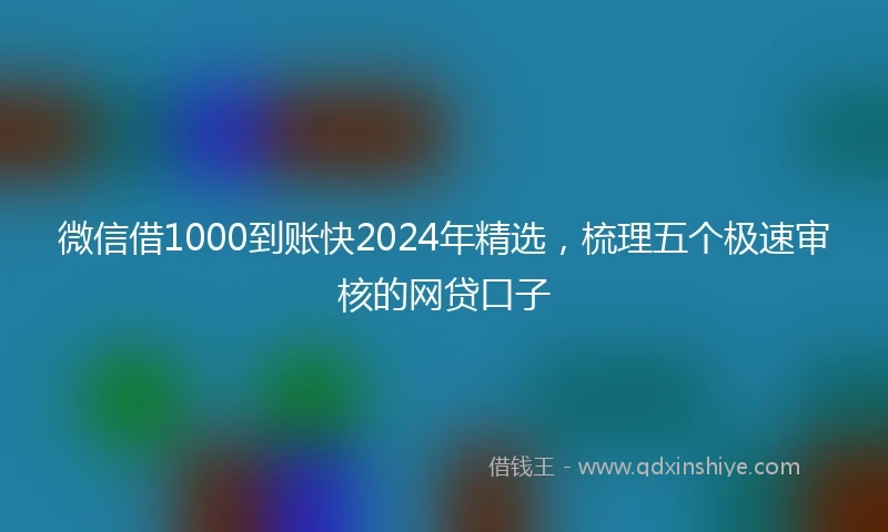微信借1000到账快2024年精选，梳理五个极速审核的网贷口子