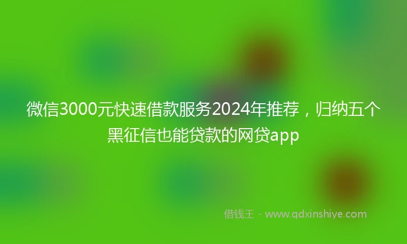微信3000元快速借款服务2024年推荐，归纳五个黑征信也能贷款的网贷app