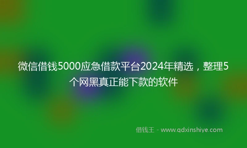 微信借钱5000应急借款平台2024年精选，整理5个网黑真正能下款的软件