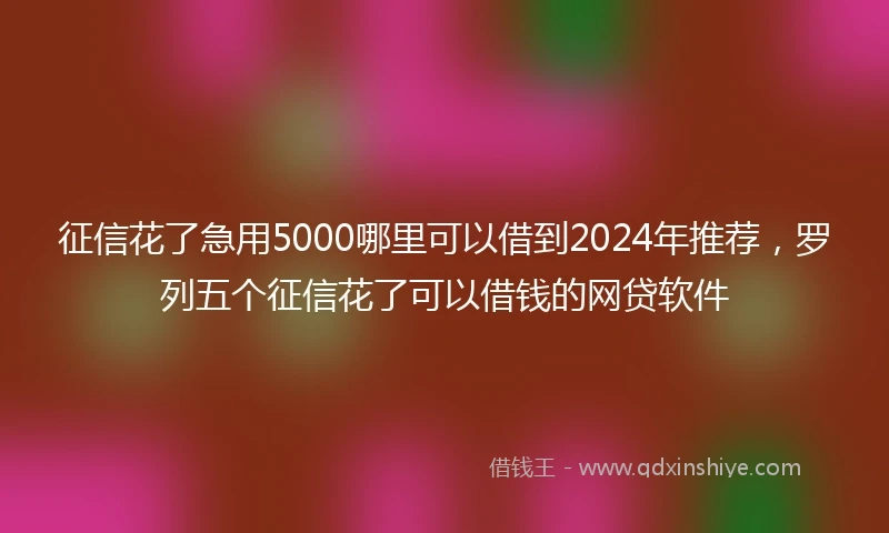 征信花了急用5000哪里可以借到2024年推荐，罗列五个征信花了可以借钱的网贷软件