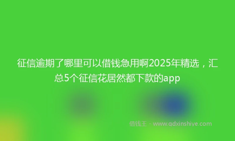 征信逾期了哪里可以借钱急用啊2025年精选，汇总5个征信花居然都下款的app