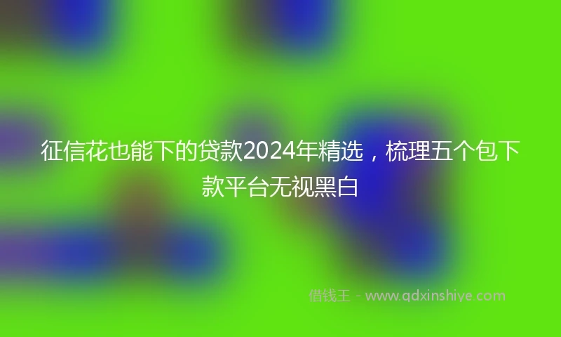 征信花也能下的贷款2024年精选，梳理五个包下款平台无视黑白