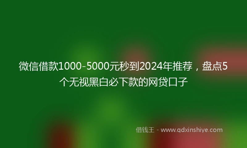 微信借款1000-5000元秒到2024年推荐，盘点5个无视黑白必下款的网贷口子