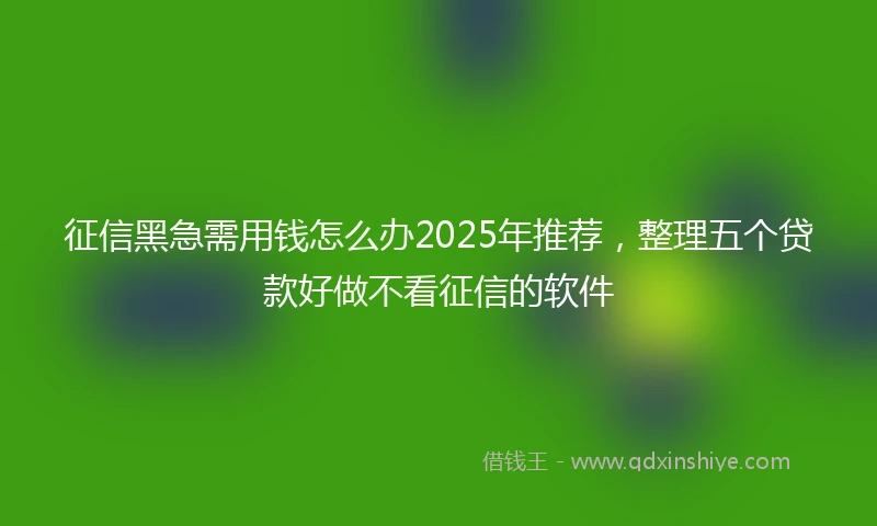 征信黑急需用钱怎么办2025年推荐，整理五个贷款好做不看征信的软件