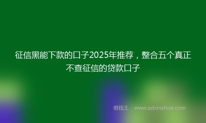 征信黑能下款的口子2025年推荐，整合五个真正不查征信的贷款口子
