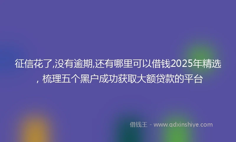 征信花了,没有逾期,还有哪里可以借钱2025年精选，梳理五个黑户成功获取大额贷款的平台