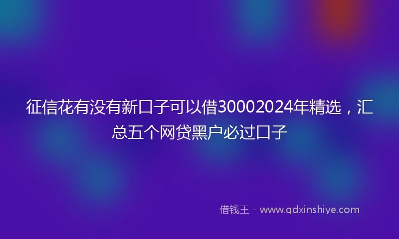 征信花有没有新口子可以借30002024年精选，汇总五个网贷黑户必过口子