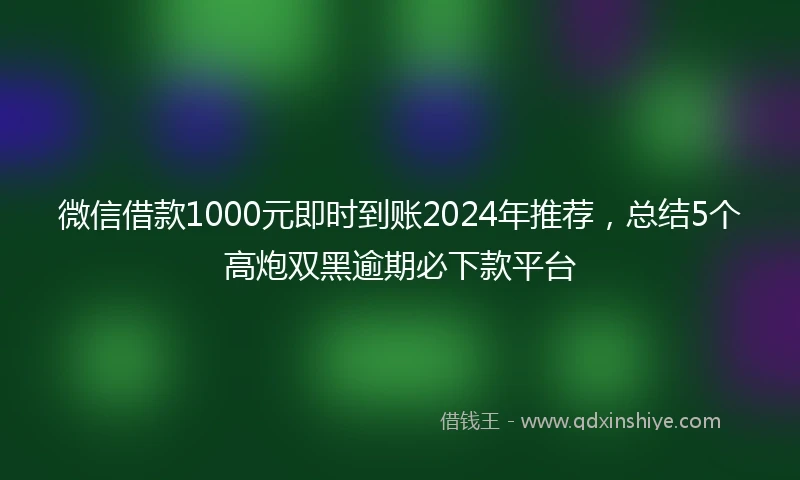 微信借款1000元即时到账2024年推荐，总结5个高炮双黑逾期必下款平台