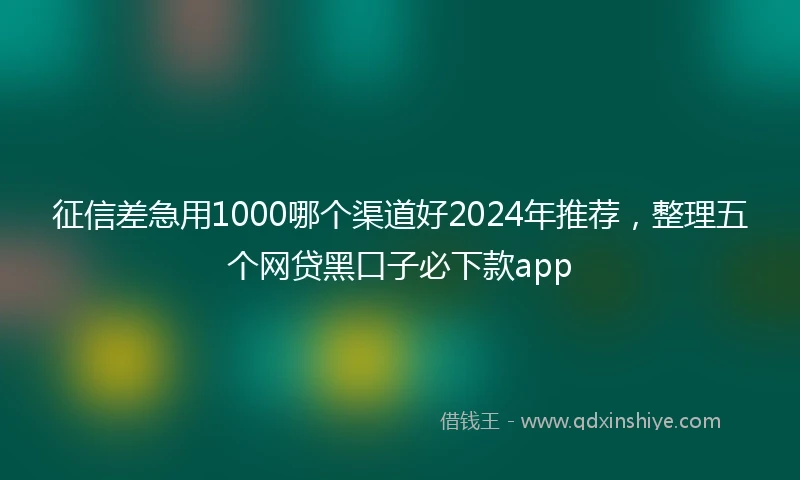 征信差急用1000哪个渠道好2024年推荐，整理五个网贷黑口子必下款app