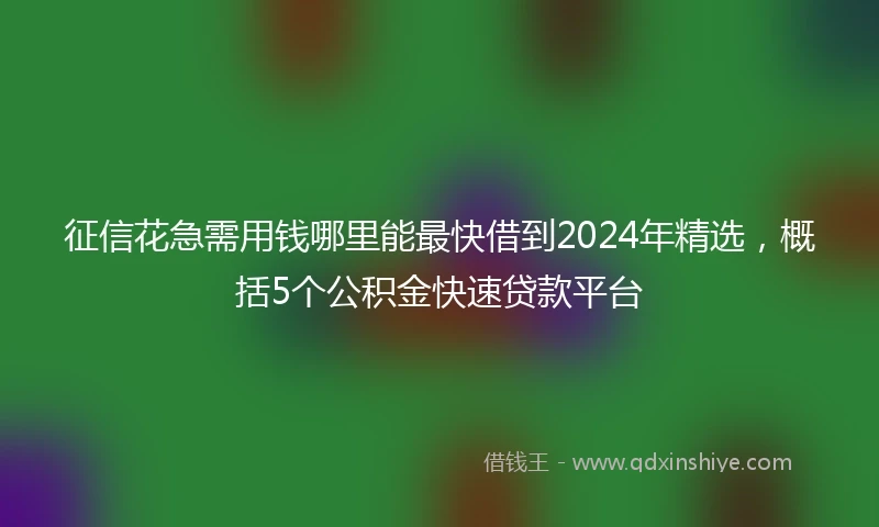 征信花急需用钱哪里能最快借到2024年精选，概括5个公积金快速贷款平台