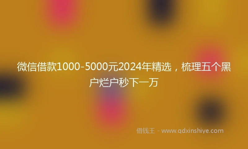微信借款1000-5000元2024年精选，梳理五个黑户烂户秒下一万