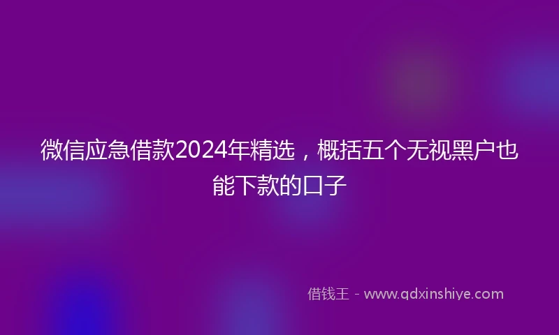 微信应急借款2024年精选，概括五个无视黑户也能下款的口子