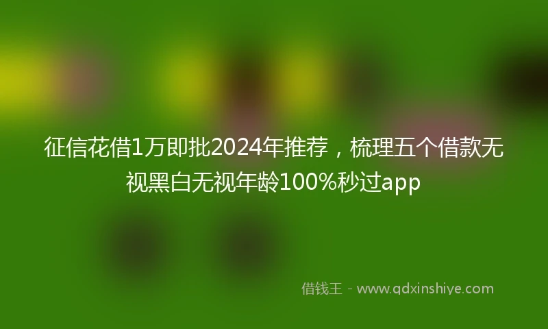 征信花借1万即批2024年推荐，梳理五个借款无视黑白无视年龄100%秒过app
