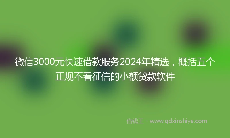 微信3000元快速借款服务2024年精选，概括五个正规不看征信的小额贷款软件