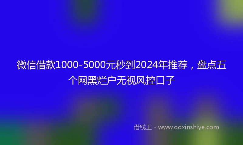 微信借款1000-5000元秒到2024年推荐，盘点五个网黑烂户无视风控口子