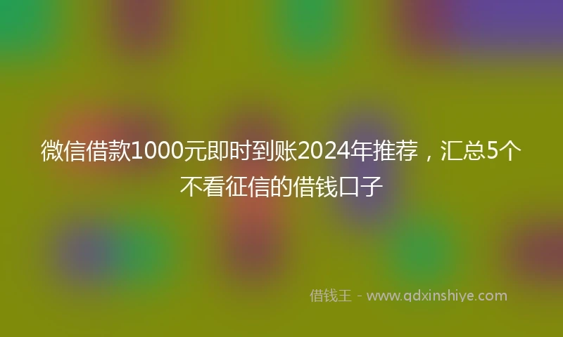 微信借款1000元即时到账2024年推荐，汇总5个不看征信的借钱口子