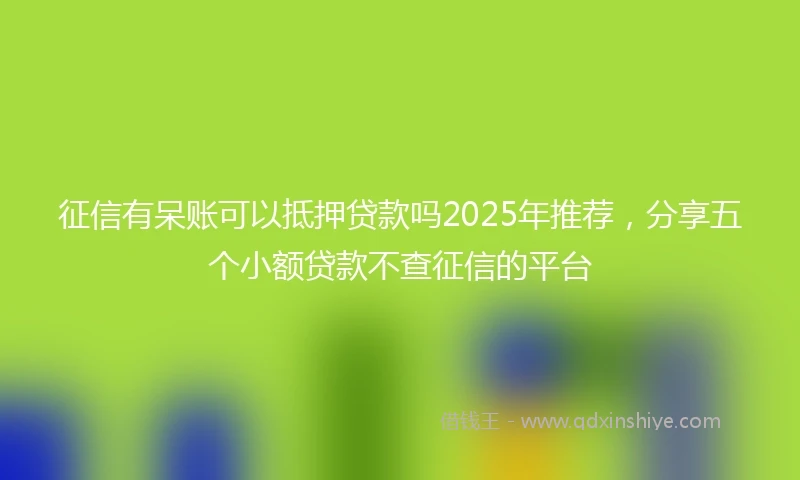 征信有呆账可以抵押贷款吗2025年推荐，分享五个小额贷款不查征信的平台