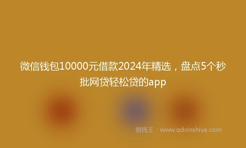 微信钱包10000元借款2024年精选,盘点5个秒批网贷轻松贷的app