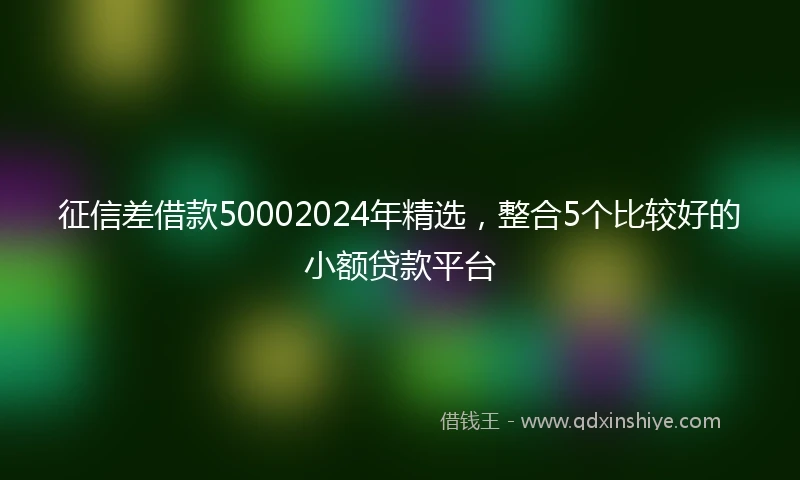征信差借款50002024年精选，整合5个比较好的小额贷款平台