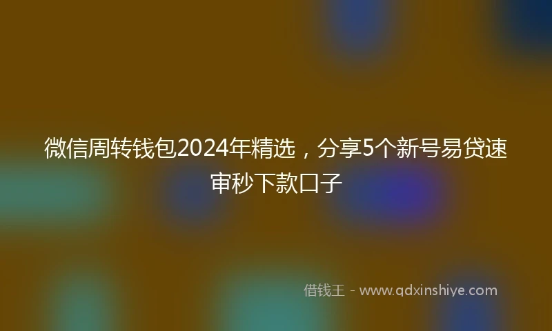 微信周转钱包2024年精选,分享5个新号易贷速审秒下款口子