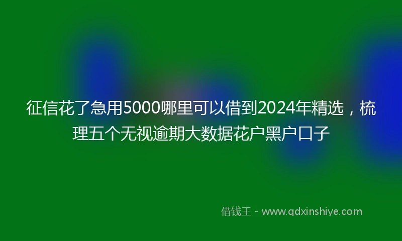 征信花了急用5000哪里可以借到2024年精选，梳理五个无视逾期大数据花户黑户口子