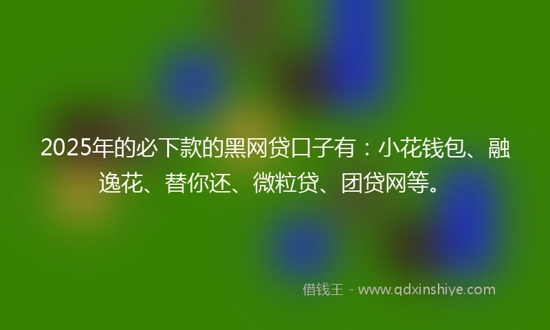 2025年的必下款的黑网贷口子有：小花钱包、融逸花、替你还、微粒贷、团贷网等。