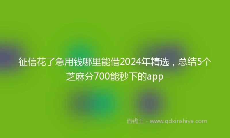 征信花了急用钱哪里能借2024年精选，总结5个芝麻分700能秒下的app