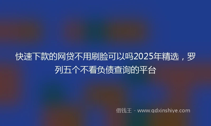 快速下款的网贷不用刷脸可以吗2025年精选，罗列五个不看负债查询的平台