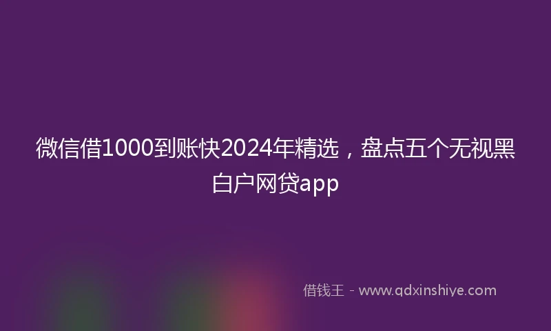 微信借1000到账快2024年精选，盘点五个无视黑白户网贷app