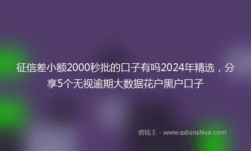 征信差小额2000秒批的口子有吗2024年精选，分享5个无视逾期大数据花户黑户口子